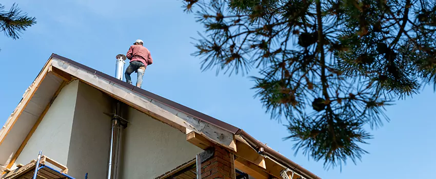 Birds Removal Contractors from Chimney in Gainesville, TX